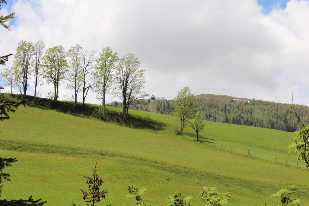 Haus Othmar Schabuss ξενώνας Bad Kleinkirchheim Εξωτερικό φωτογραφία