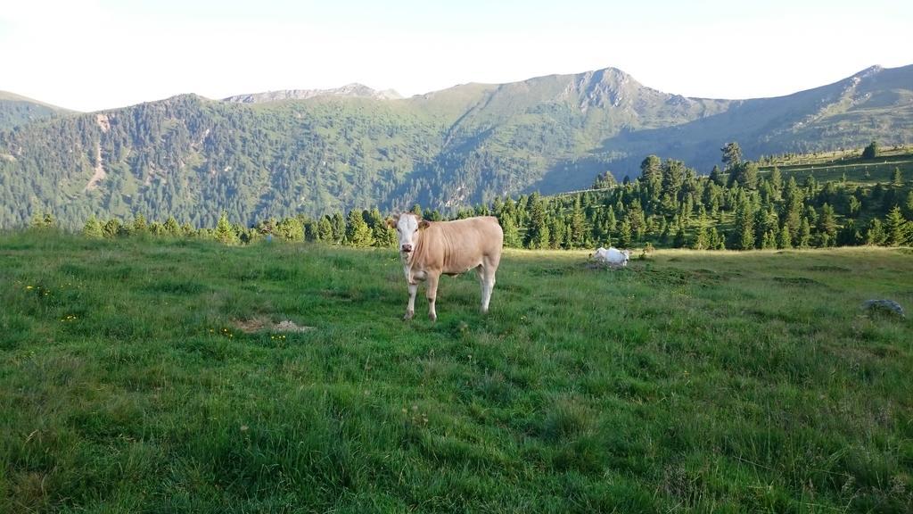 Haus Othmar Schabuss ξενώνας Bad Kleinkirchheim Εξωτερικό φωτογραφία